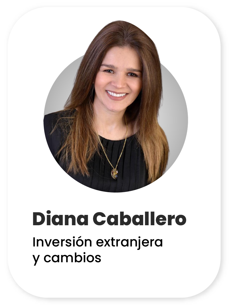 perfiles diana caballero